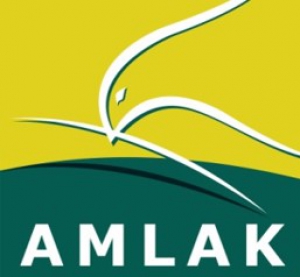 Amlak Finance 
